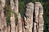 die bohnmische paradies